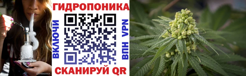 Псилоцибиновые грибы Гремячинск