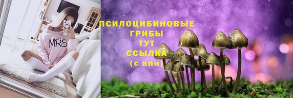 амфетамин Белокуриха