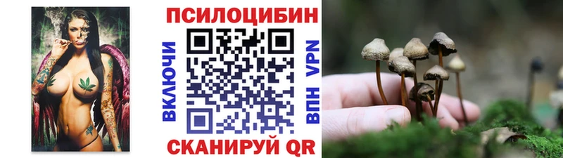 ОМГ ОМГ маркетплейс  купить наркоту  Гремячинск  Галлюциногенные грибы мицелий 